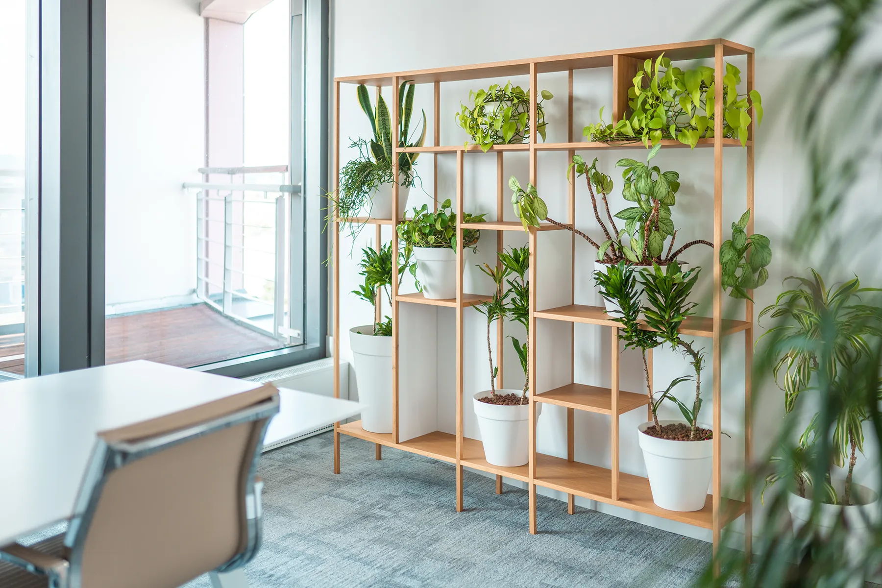 Organized workspace with plants promoting calm environment